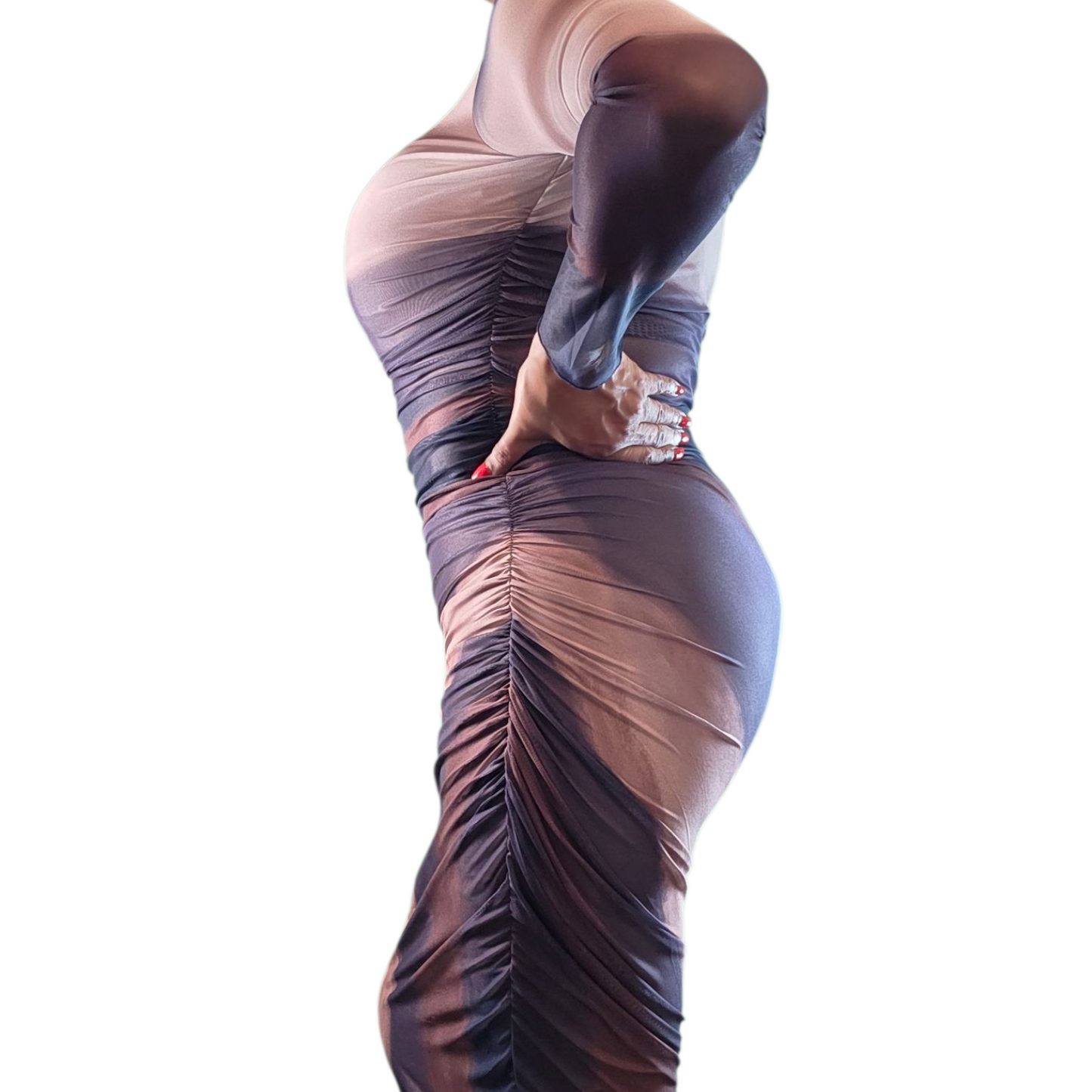Sheer Long Sleeve Maxi Dress
