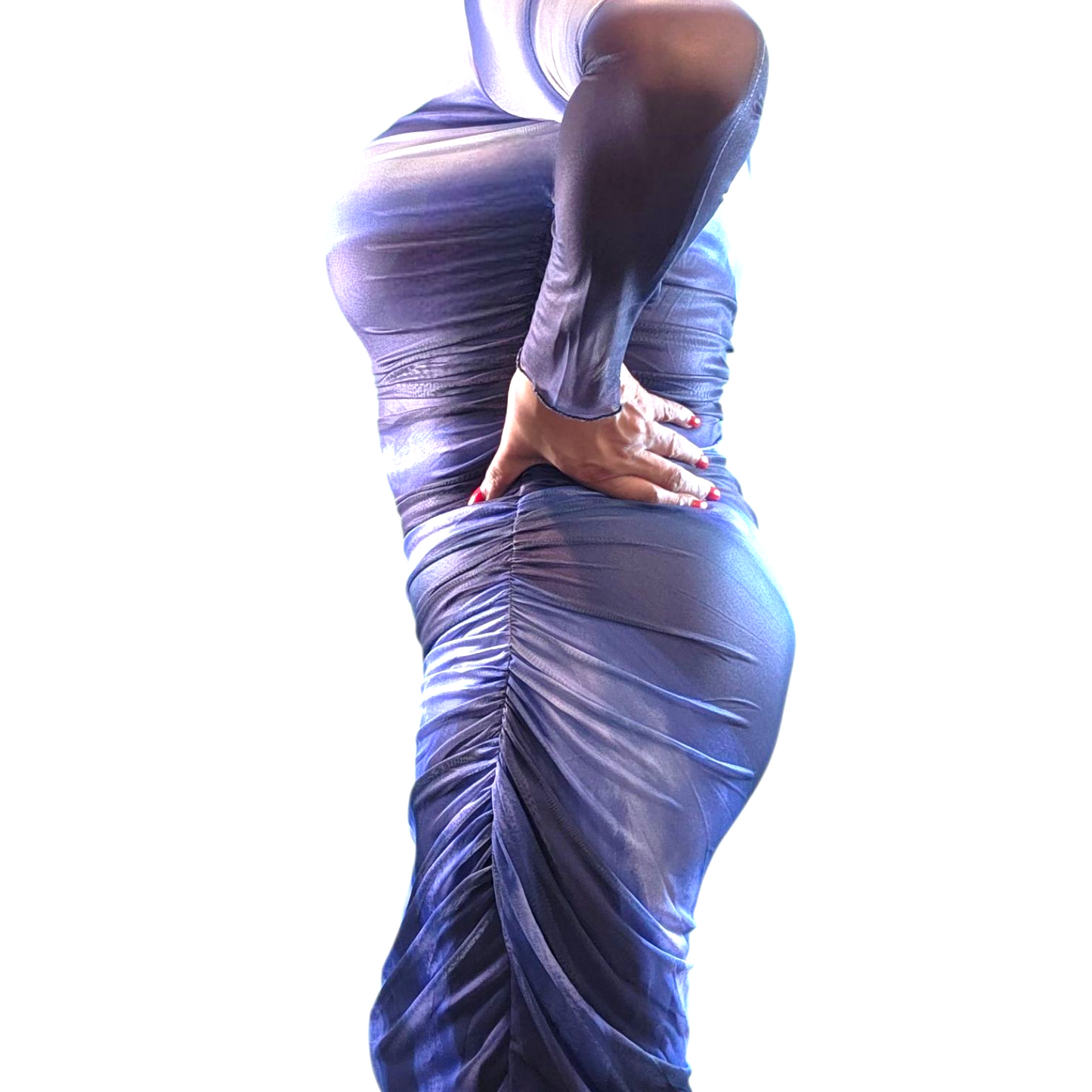 Sheer Long Sleeve Maxi Dress