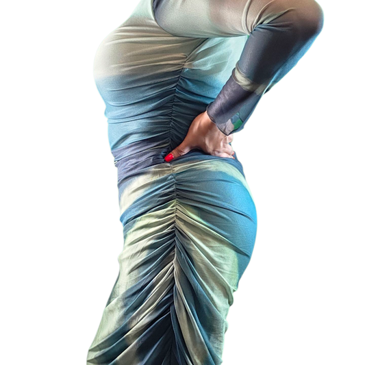 Sheer Long Sleeve Maxi Dress
